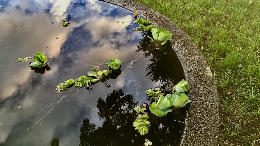 Vila Casa As Nove Angra do Heroísmo Exteriér fotografie